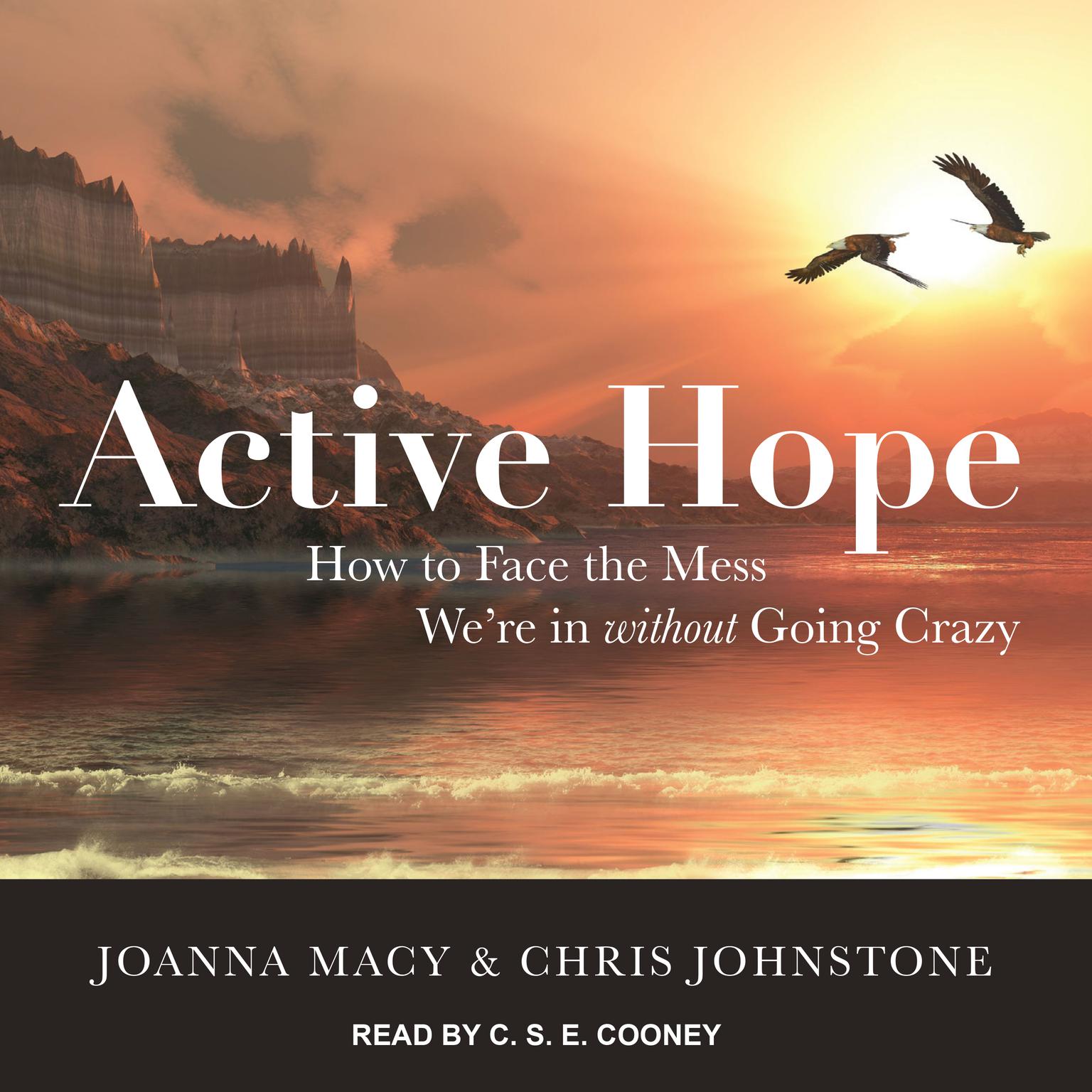 Active Hope: How to Face the Mess Were in without Going Crazy Audiobook, by Joanna Macy