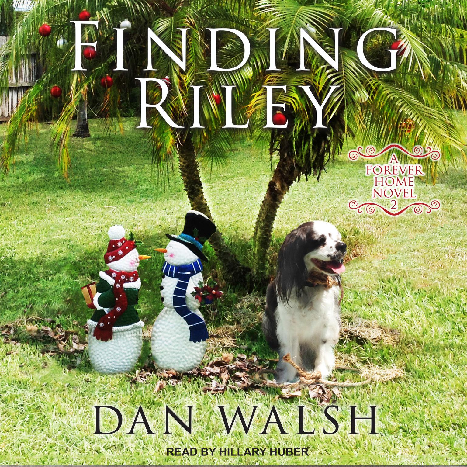 Finding Riley  Audiobook, by Dan Walsh