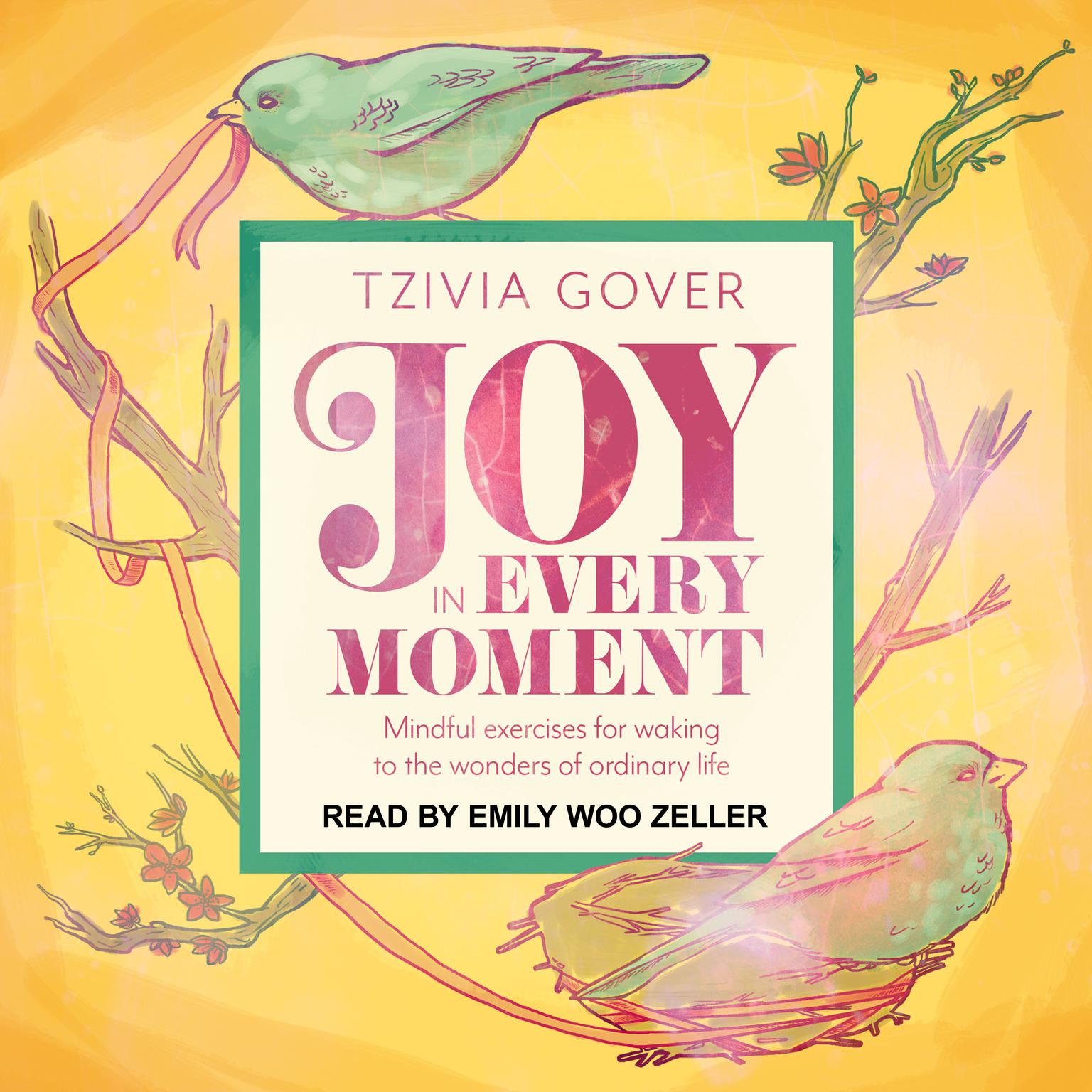 Joy in Every Moment: Mindful Exercises for Waking Up to the Wonders of Ordinary Life Audiobook, by Tzivia Gover