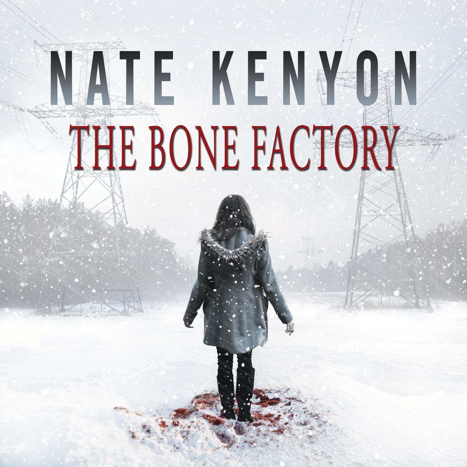 The Bone Factory Audiobook, by Nate Kenyon