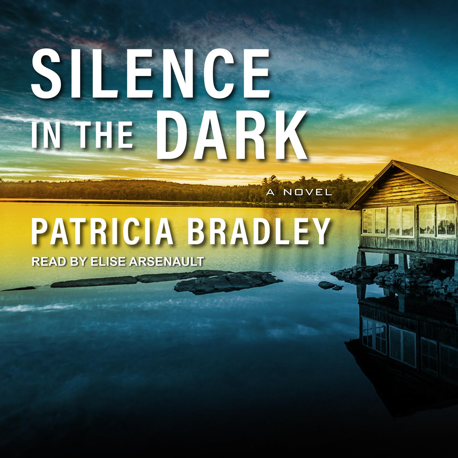 Silence in the Dark Audiobook, by Patricia Bradley