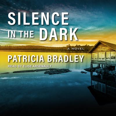 Silence in the Dark Audiobook, by 