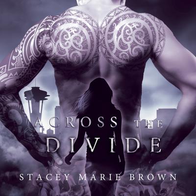 Across The Divide Audiobook, by 