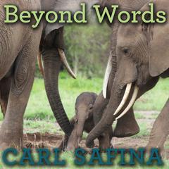 Beyond Words: What Animals Think and Feel Audiobook, by Carl Safina