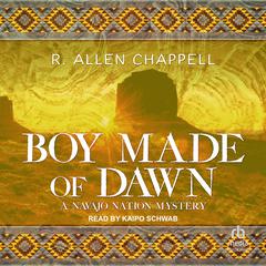 Boy Made of Dawn Audiobook, by R. Allen Chappell