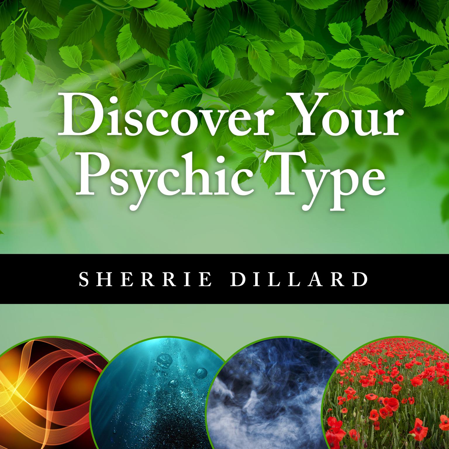 Discover Your Psychic Type: Developing and Using Your Natural Intuition Audiobook, by Sherrie Dillard