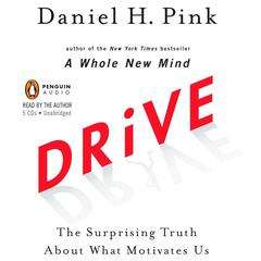 Drive: The Surprising Truth About What Motivates Us Audiobook, by Daniel H. Pink
