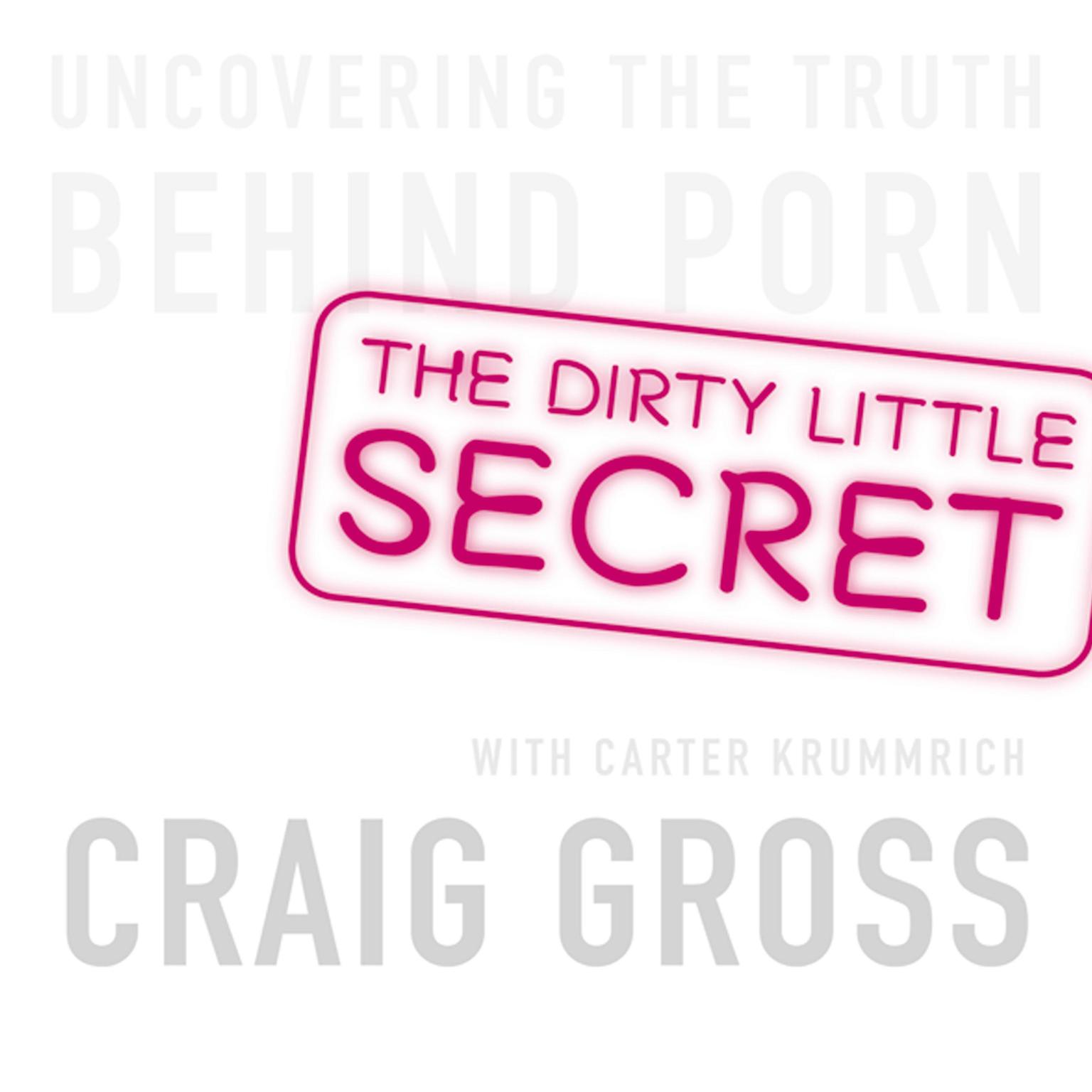The Dirty Little Secret: Uncovering the Truth Behind Porn Audiobook, by Craig Gross