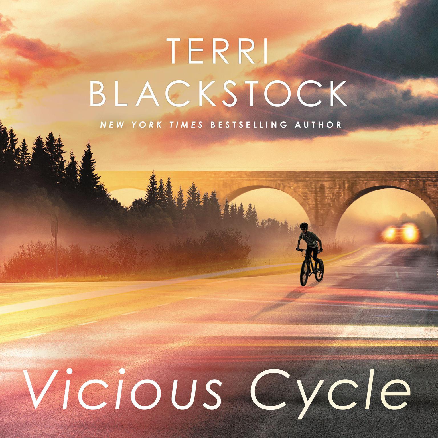 Vicious Cycle: An Intervention Novel Audiobook, by Terri Blackstock