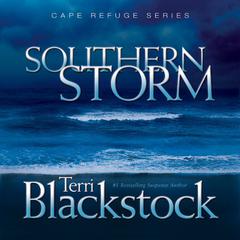 Southern Storm Audiobook, by Terri Blackstock