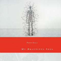 My Beautiful Idol Audiobook, by Pete Gall