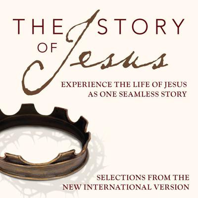 The Story Audio Bible - New International Version, NIV: The Story of Jesus: Experience the Life of Jesus as One Seamless Story Audiobook, by Zondervan