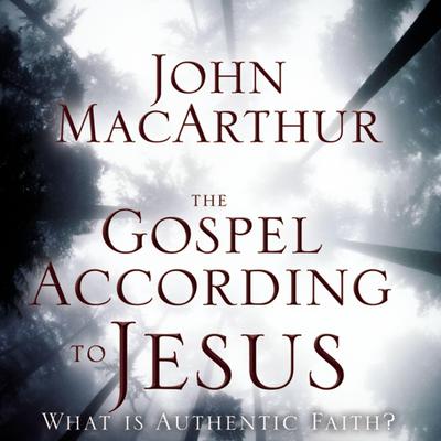 The Gospel According to Jesus: What Is Authentic Faith? Audiobook, by 