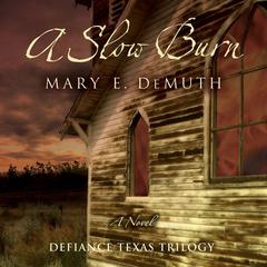 A Slow Burn: A Novel Audiobook, by Mary E. DeMuth