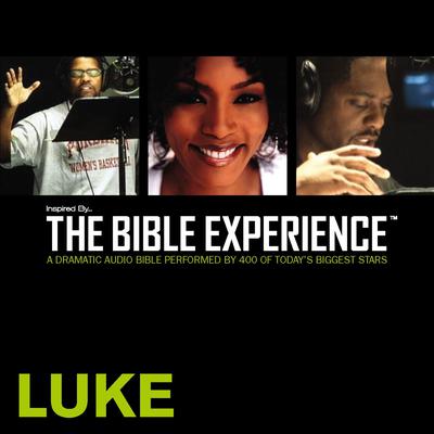 Inspired By … The Bible Experience Audio Bible - Todays New International Version, TNIV: (31) Luke Audiobook, by Zondervan