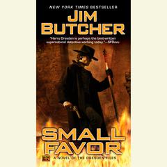 Small Favor Audiobook, by 
