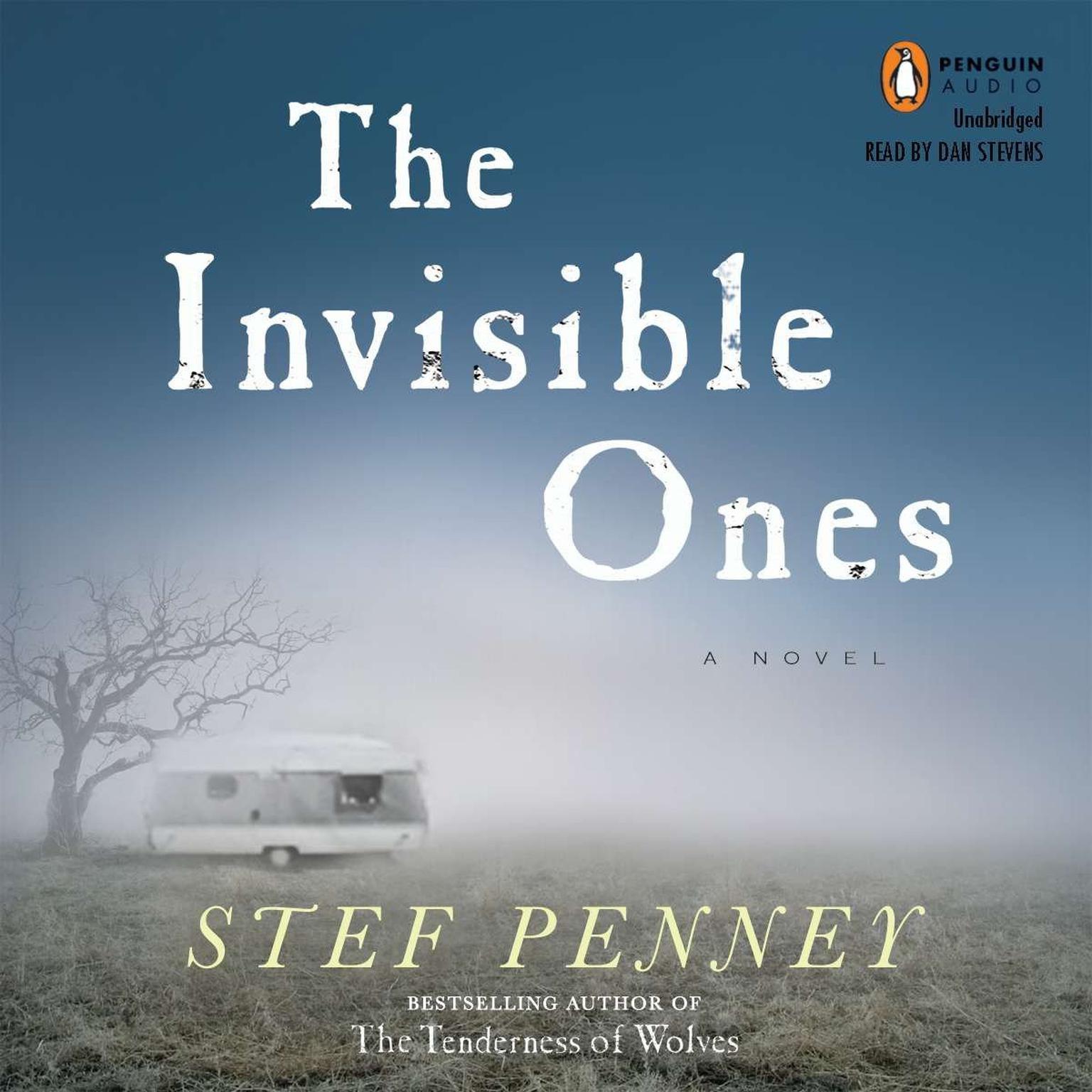 The Invisible Ones Audiobook, by Stef Penney