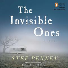 The Invisible Ones Audiobook, by Stef Penney