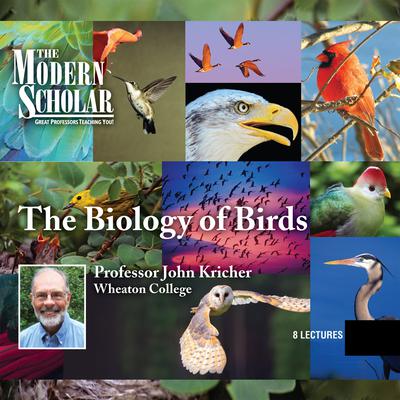 Biology of Birds Audiobook, by John Kricher