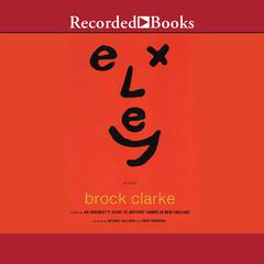 Exley Audiobook, by Brock Clarke