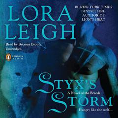 Styxs Storm Audiobook, by Lora Leigh