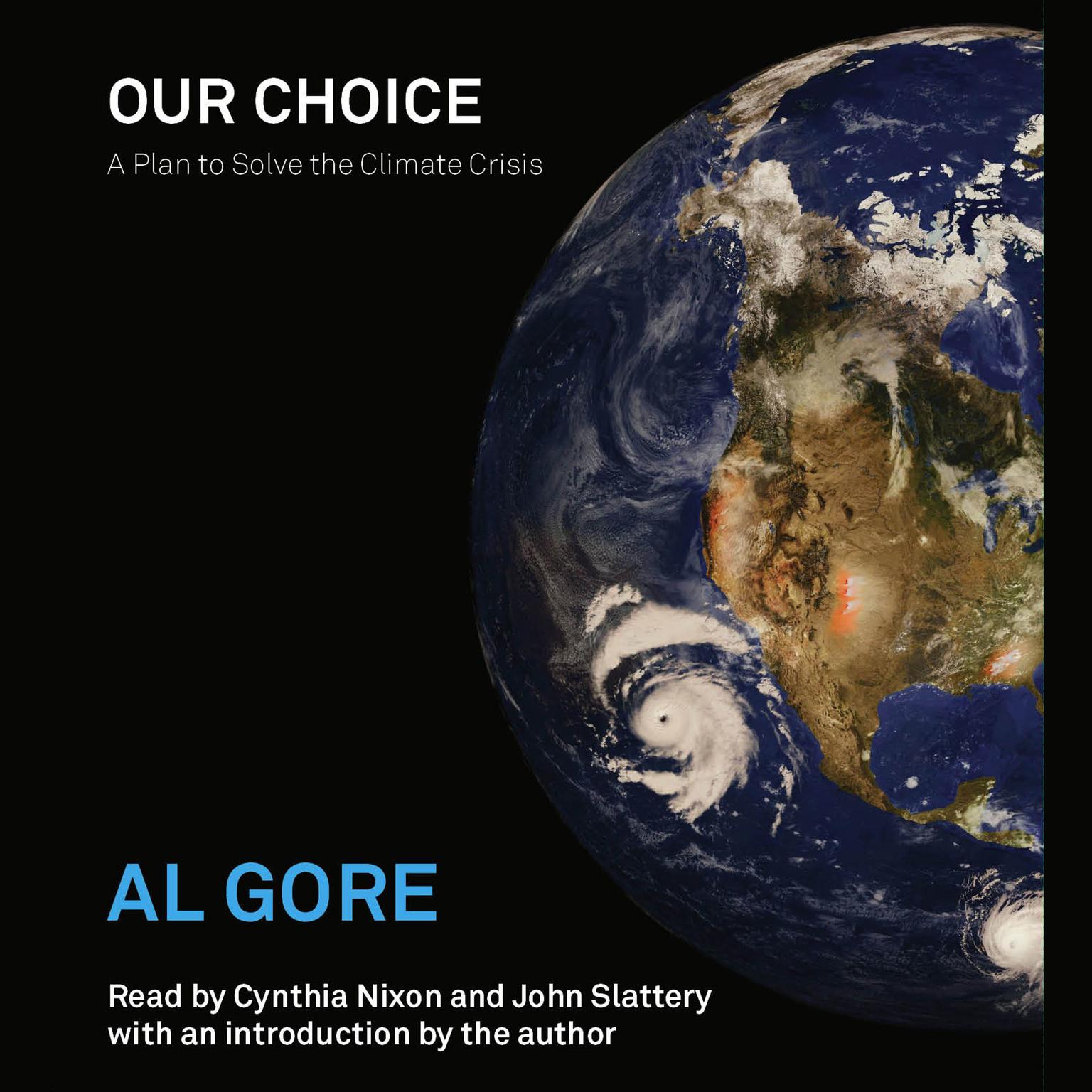 Our Choice: A Plan to Solve the Climate Crisis Audiobook, by Al Gore