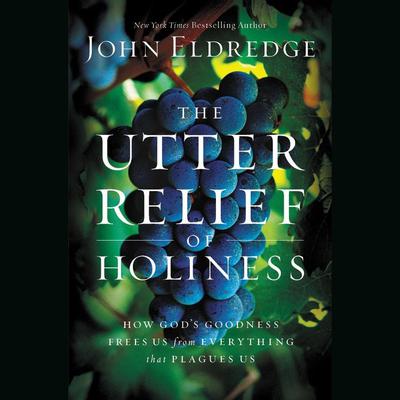 The Utter Relief of Holiness: How God's Goodness Frees Us from Everything that Plagues Us Audiobook, by John Eldredge