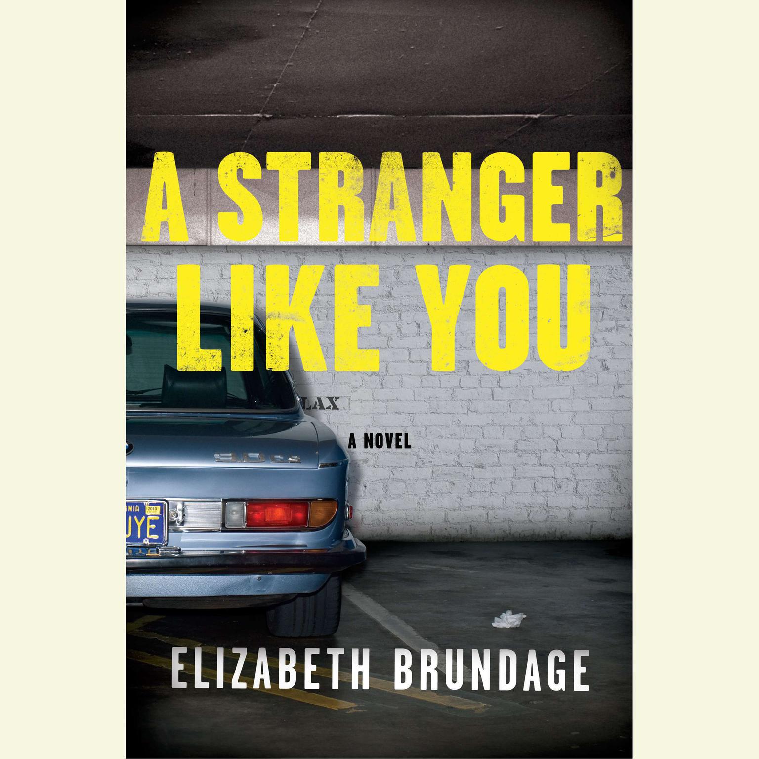 A Stranger Like You: A Novel Audiobook, by Elizabeth Brundage