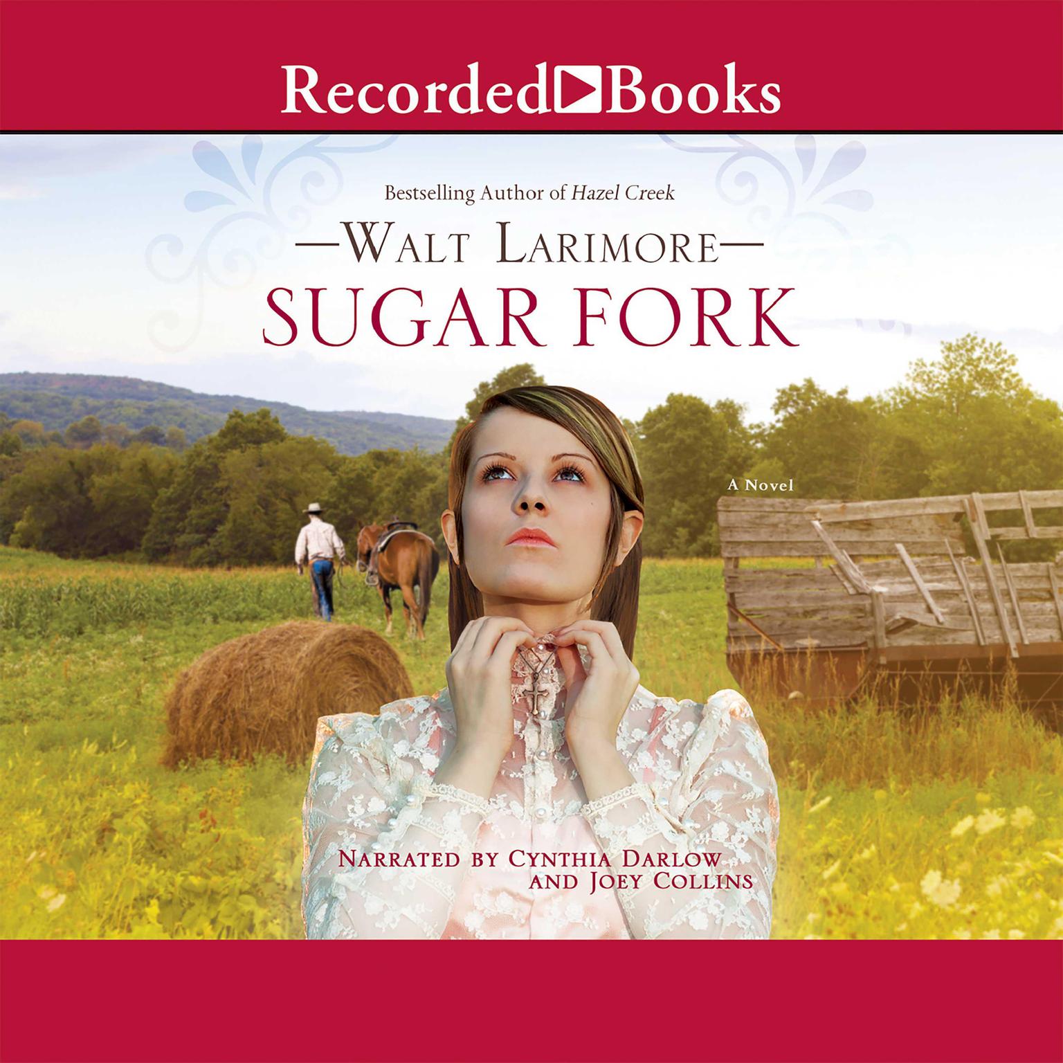 Sugar Fork Audiobook, by Walt Larimore