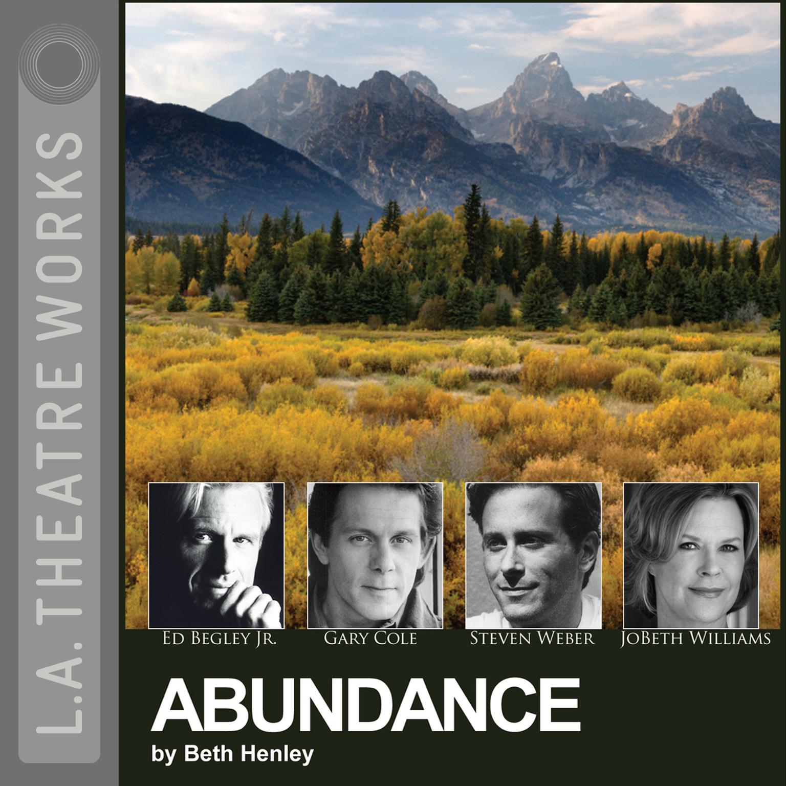 Abundance Audiobook, by Beth Henley