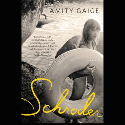 Schroder: A Novel Audiobook, by Amity Gaige