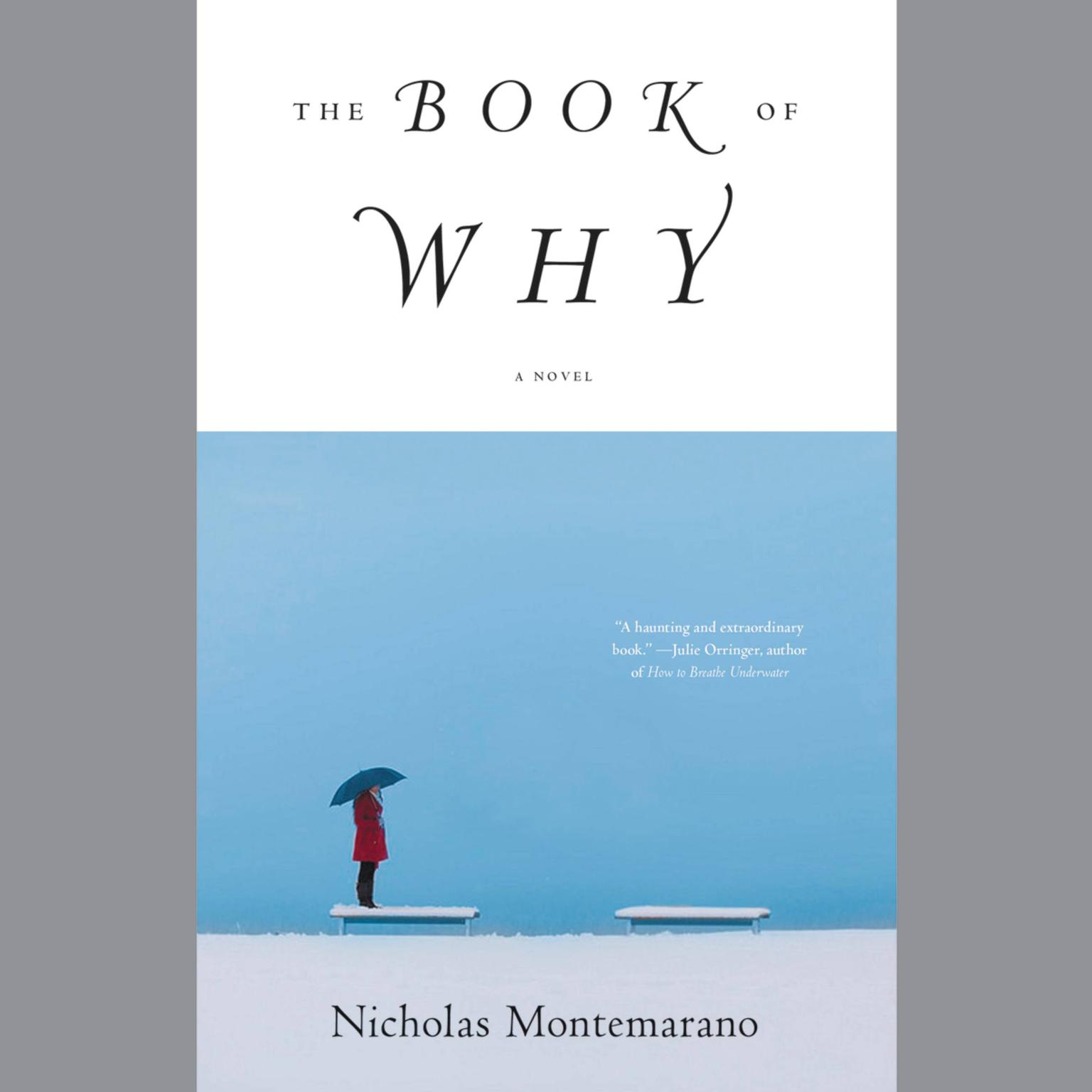 The Book of Why: A Novel Audiobook, by Nicholas Montemarano