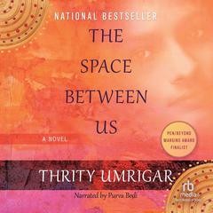 The Space Between Us Audiobook, by Thrity Umrigar
