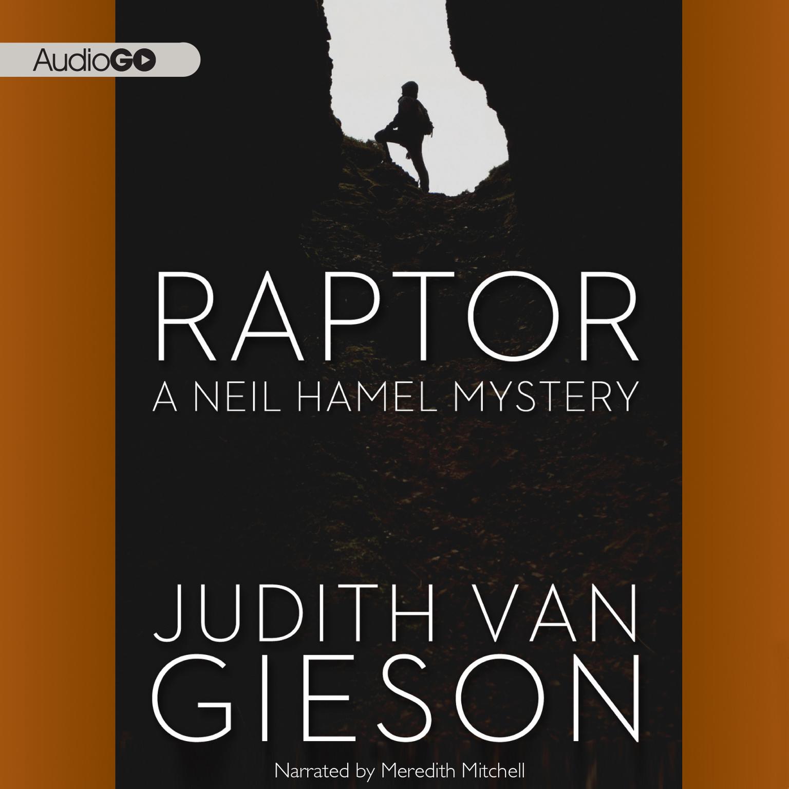 Raptor Audiobook, by Judith Van Gieson