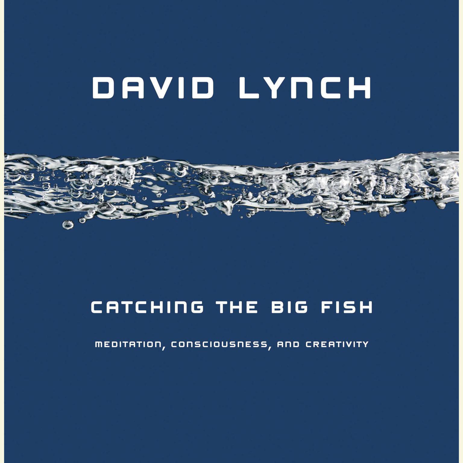 Catching the Big Fish: Meditation, Consciousness, and Creativity Audiobook, by David Lynch