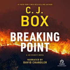 Breaking Point Audiobook, by 