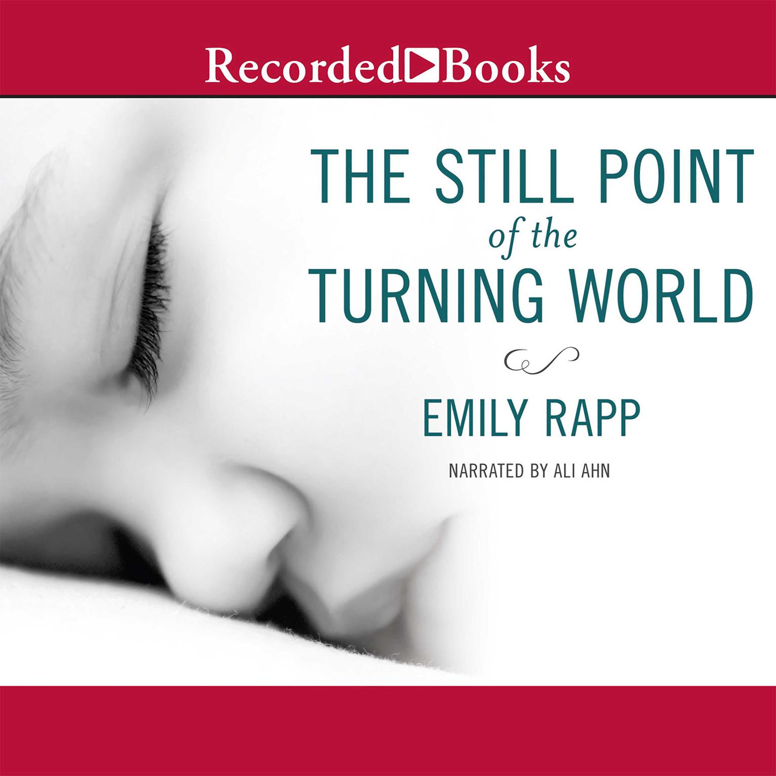 The Still Point of the Turning World Audiobook, by Emily Rapp