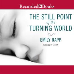 The Still Point of the Turning World Audiobook, by Emily Rapp