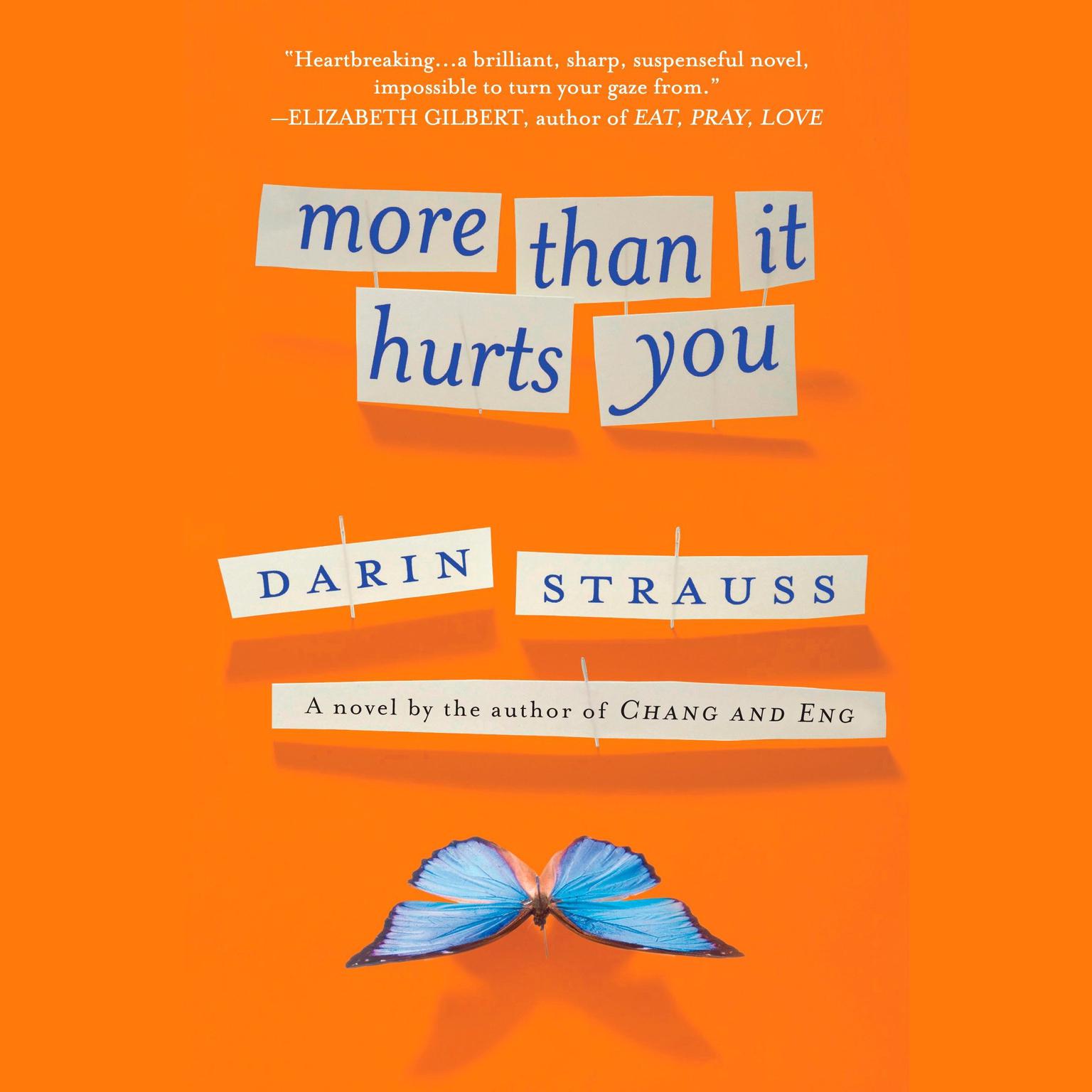 More Than It Hurts You Audiobook, by Darin Strauss