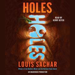 Holes Audiobook, by 