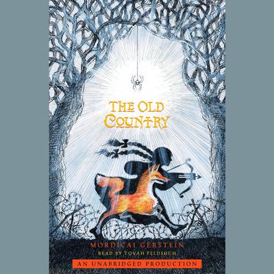 The Old Country Audiobook, by Mordicai Gerstein