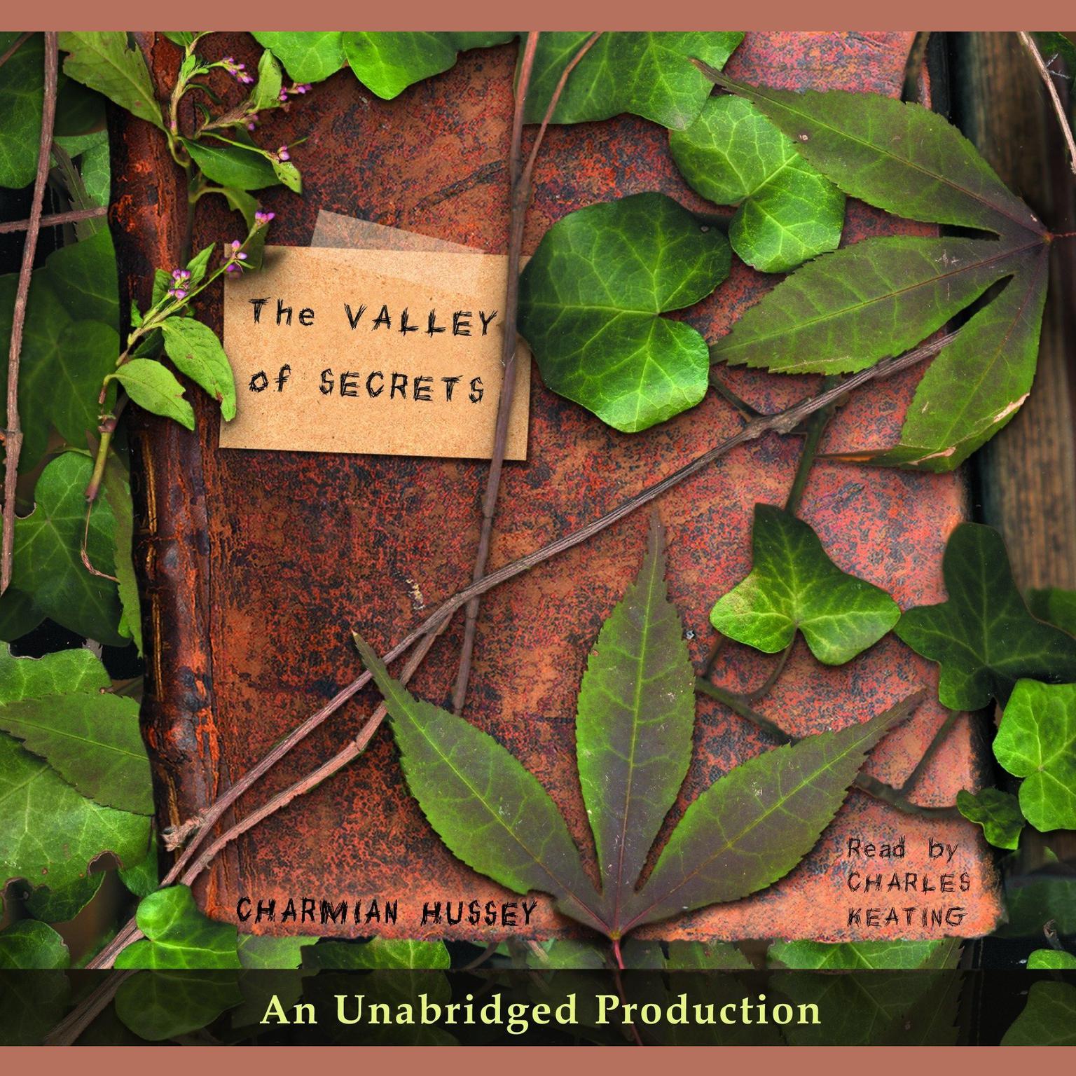 The Valley of Secrets Audiobook, by Charmian Hussey