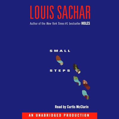 Small Steps Audiobook, by Louis Sachar