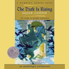The Dark Is Rising Audiobook, by Susan Cooper
