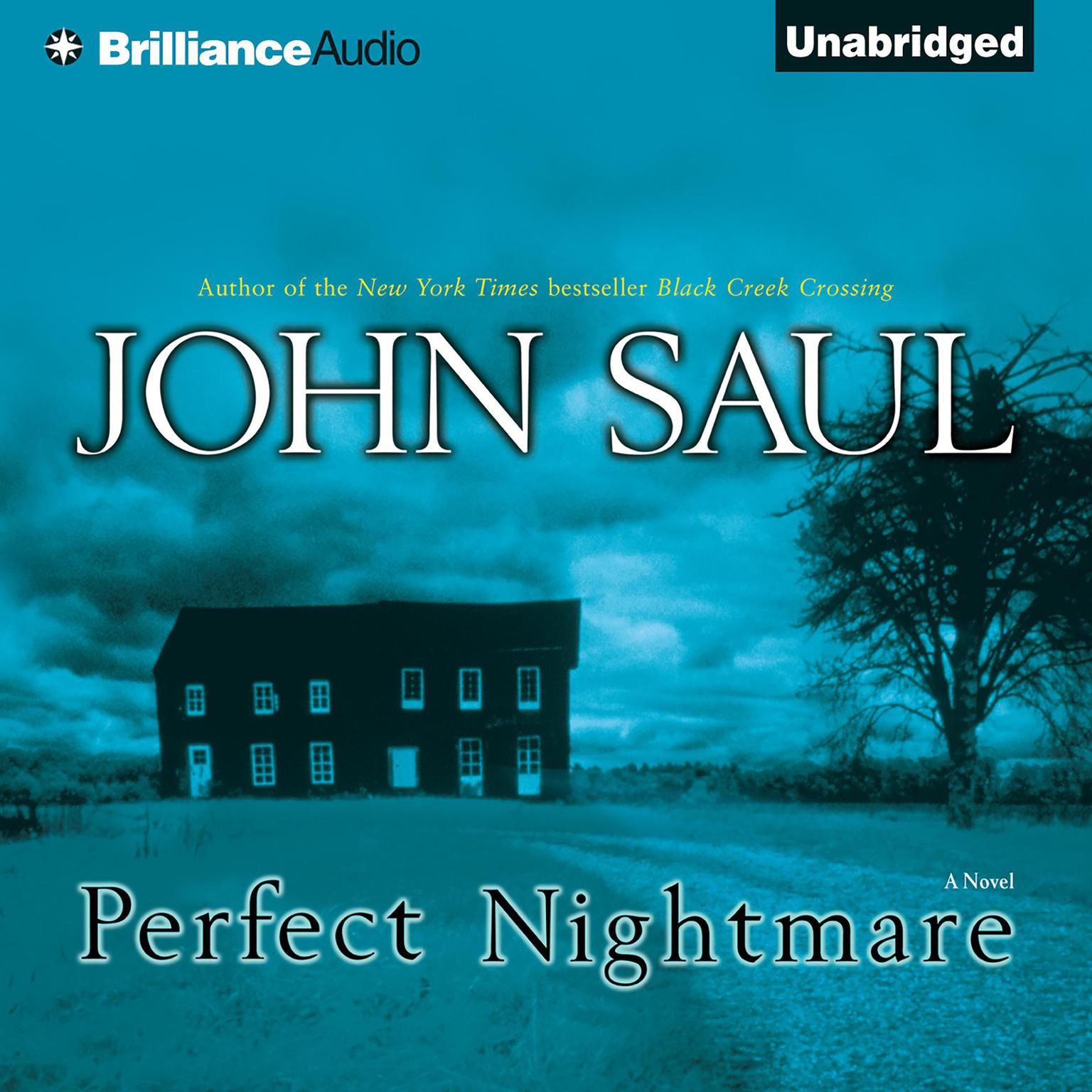 Perfect Nightmare: A Novel Audiobook, by John Saul