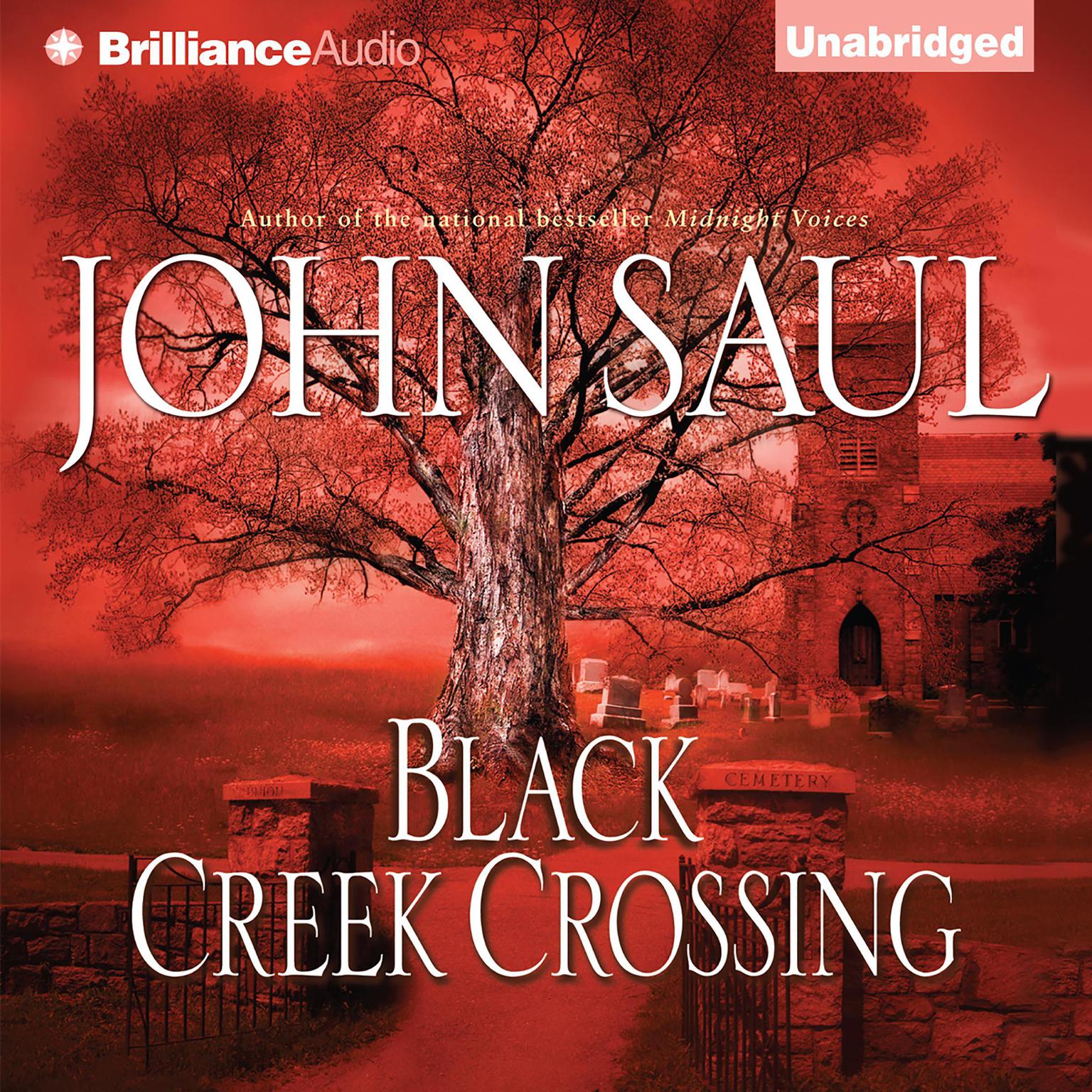 Black Creek Crossing Audiobook, by John Saul
