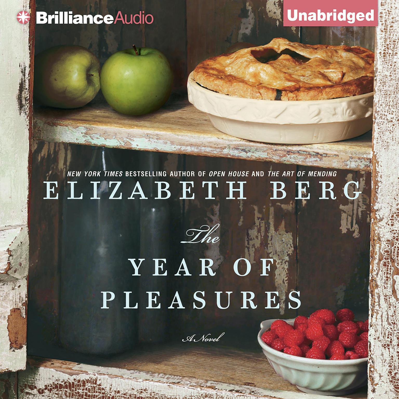The Year of Pleasures Audiobook, by Elizabeth Berg