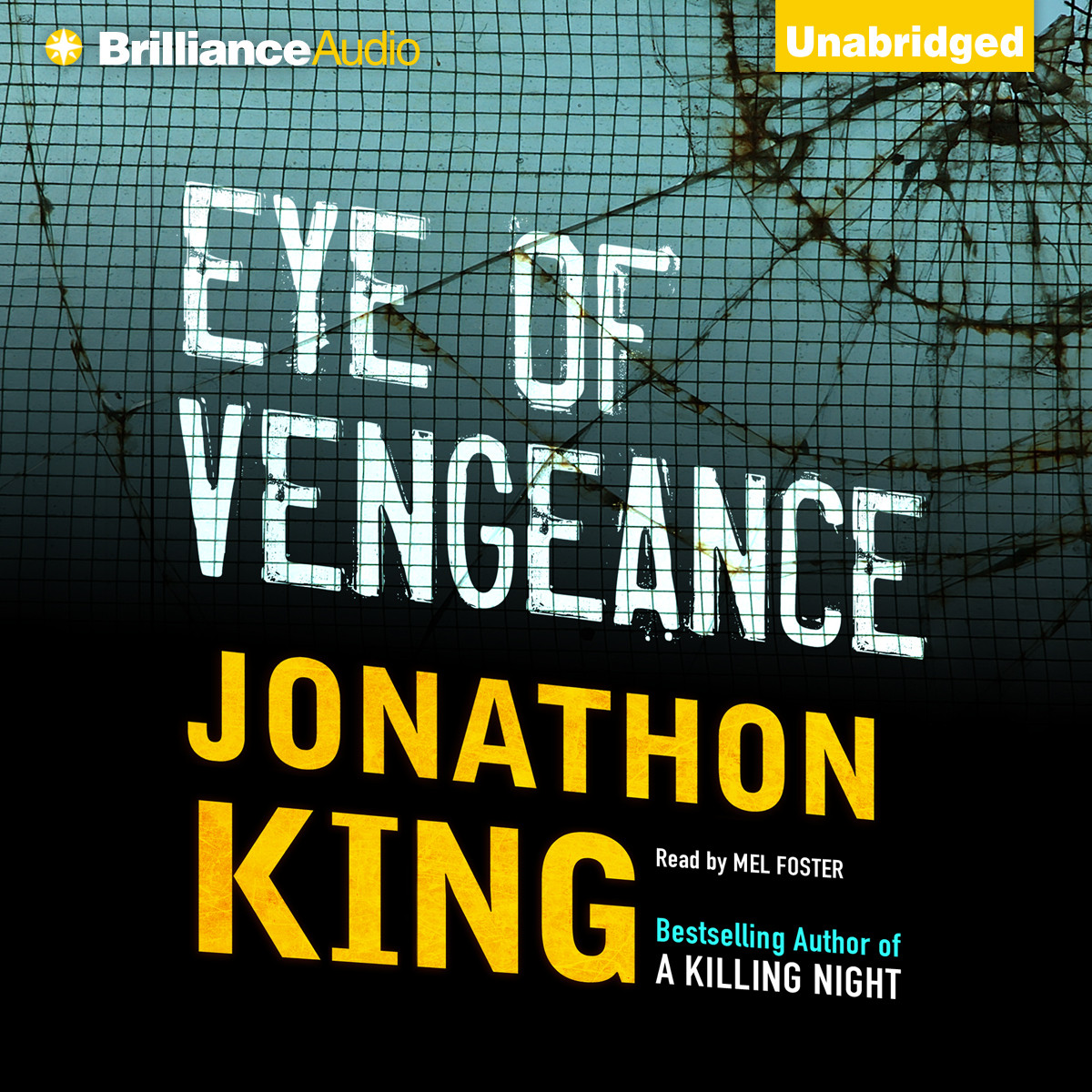 Eye of Vengeance Audiobook, by Jonathon King