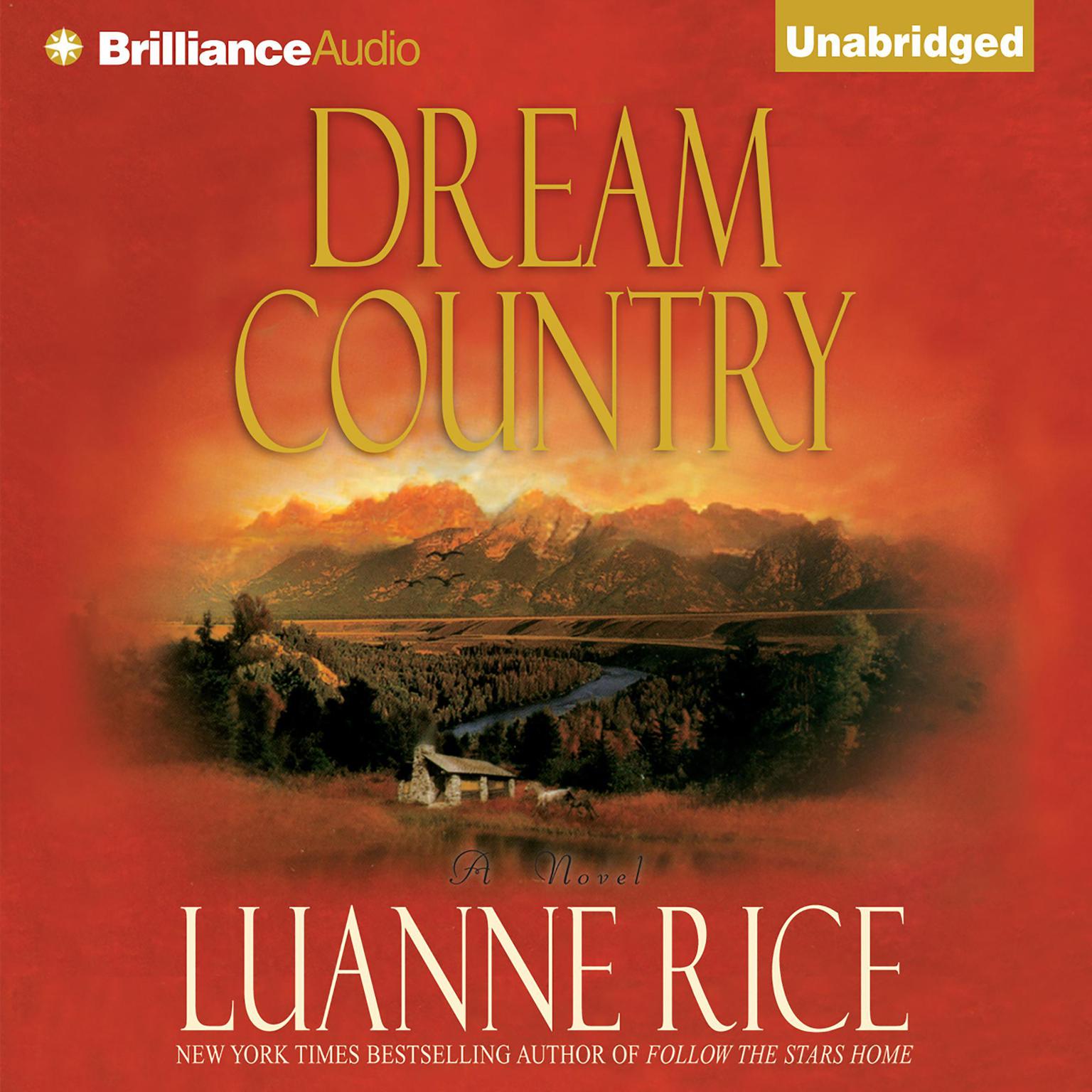 Dream Country: A Novel Audiobook, by Luanne Rice
