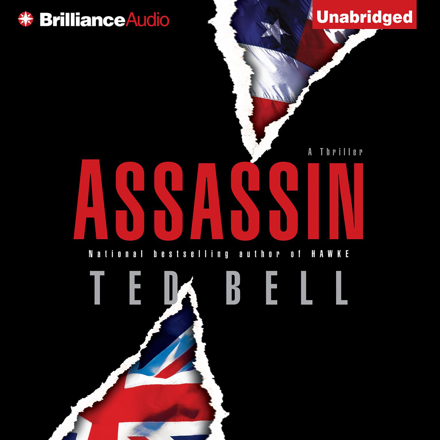 Assassin Audiobook, by Ted Bell